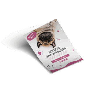 Flyers Publicitarios Express