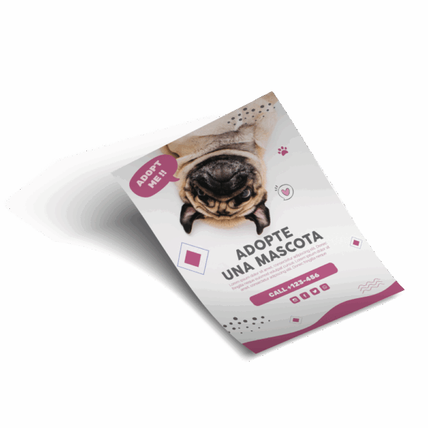 Flyers Publicitarios Express